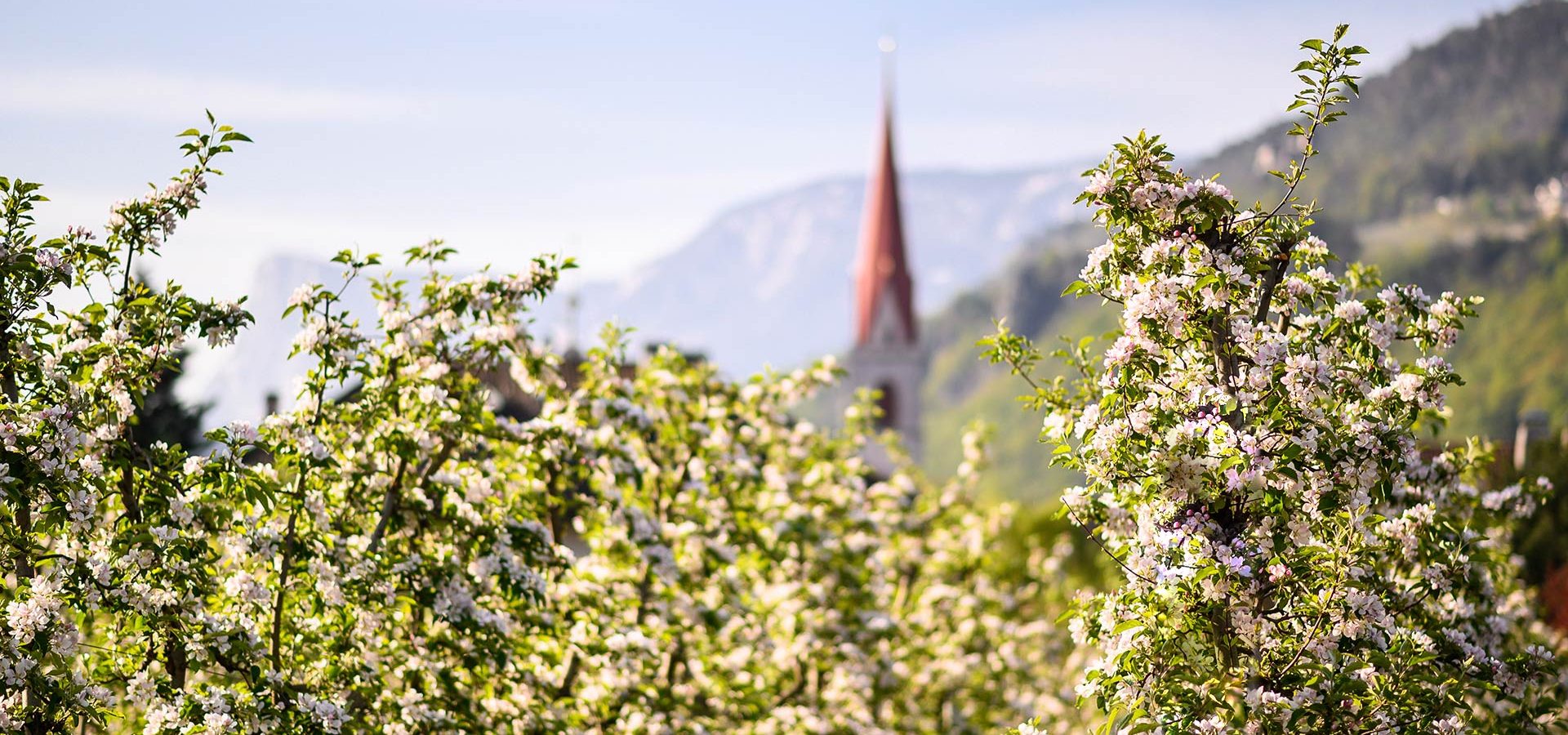 urlaub auf dem bauernhof in lana etschtal meraner lande suedtirol